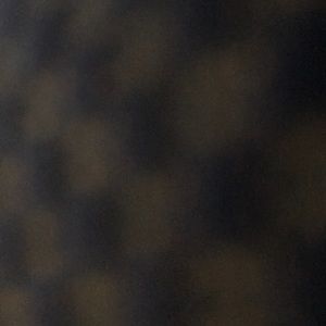 Meet your Posher, Roz